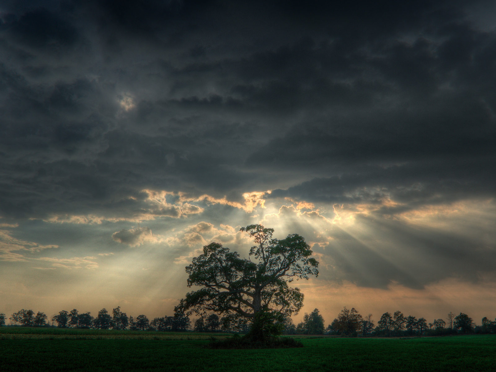 Before The Storm Best Background Full HD1920x1080p, 1280x720p, – HD Wallpapers Backgrounds Desktop, iphone & Android Free Download